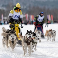 Отель Курорт Манжерок, Республика Алтай
