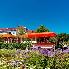 Санаторий Озеро белое, Подмосковье, Московская область