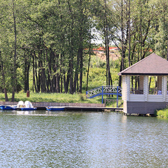Коттеджный комплекс Палисад Resort / Петрухино-клуб, Серпуховский район, Московская область