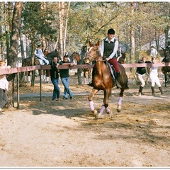 База отдыха Боровое, Тюменский район, Тюменская область