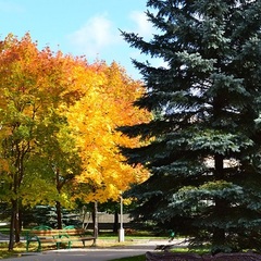 Санаторий Журавушка, Минская область