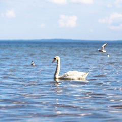 Санаторий Нарочь, Минская область