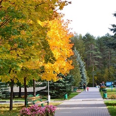 Санаторий Журавушка, Минская область
