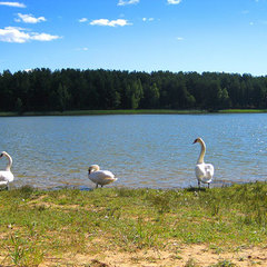 Санаторий Поречье, Гродненская область
