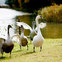 Санаторий Поречье, Гродненская область