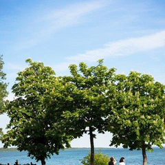 Санаторий Нарочь, Минская область