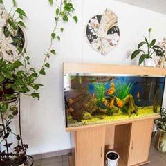 Санаторий Журавушка, Минская область