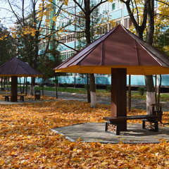 Санаторий Ченки, Гомельская область