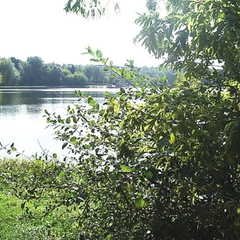 Санаторий Криница, Минская область