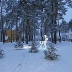 Санаторий Ченки, Гомельская область