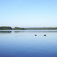 Санаторий Криница, Минская область
