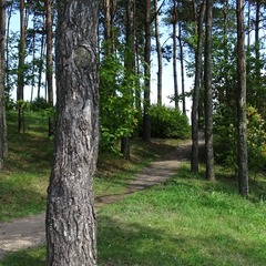 Санаторий Юность, Минская область