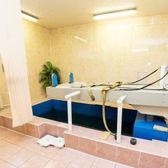 Санаторий Энергетик, Гродненская область