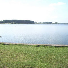 Санаторий Криница, Минская область