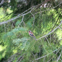 Санаторий Юность, Минская область