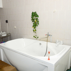 Санаторий Поречье, Гродненская область