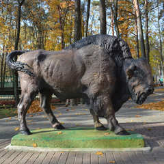 Санаторий Ченки, Гомельская область