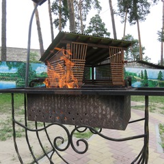 Санаторий Ченки, Гомельская область