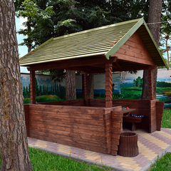 Санаторий Ченки, Гомельская область