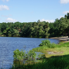 Санаторий Ченки, Гомельская область