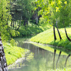 Санаторий Сосновый бор, Минская область
