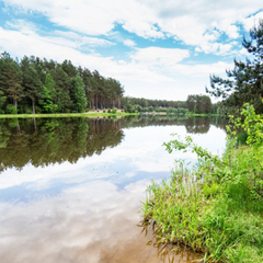 Санаторий Радон, Гродненская область