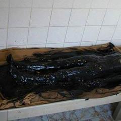 Санаторий им. Ленина, Могилёвская область