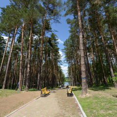 Санаторий Сосны (Криничный, Гомельская область, Белорусь), Минская область