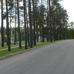 Санаторий Сосны (Криничный, Гомельская область, Белорусь), Минская область