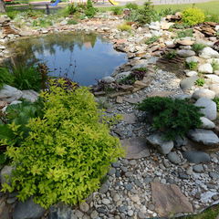 Санаторий Сосны (Криничный, Гомельская область, Белорусь), Минская область