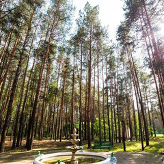 Санаторий Надзея, Брестская область