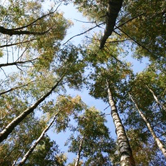 Санаторий Нарочанский берег, Минская область