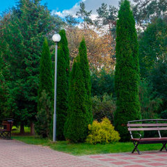 Санаторий Магистральный, Брестская область