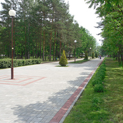 Санаторий Алеся, Брестская область