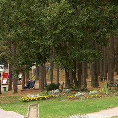 Санаторий Пралеска, Минская область