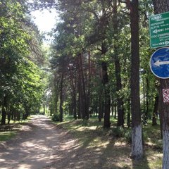 Турбаза Орша, Витебская область