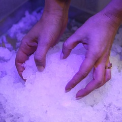 Санаторий Березка, Минская область