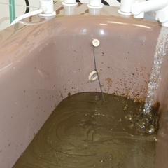 Санаторий Березка, Минская область