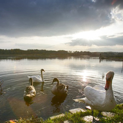 Санаторий Ружанский, Брестская область
