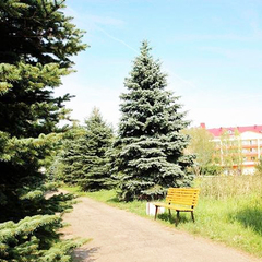 Санаторий Приморский, Минская область