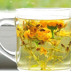 Санаторий Приморский, Минская область