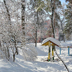 Санаторий Золотые пески, Гомельская область