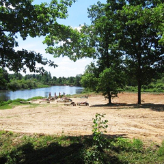 Санаторий Березина, Минская область