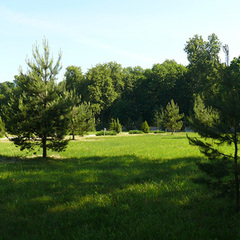 Санаторий Им. Орловского, Могилёвская область