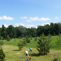 Санаторий Им. Орловского, Могилёвская область