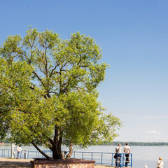 Гостиница Нарочь, Минская область