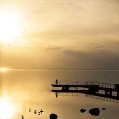 Санаторий Сосны (п/о Гатовичи, Минская область, Белорусь), Минская область