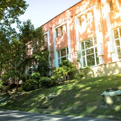 Санаторий Машиностроитель, Гомельская область