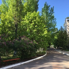 Дом отдыха Белый берег, Гомельская область