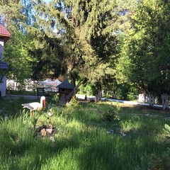 Дом отдыха Белый берег, Гомельская область